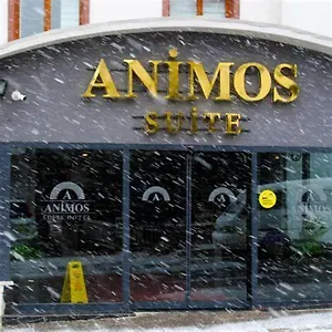 Apart Otel Animos Butik, Ankara
